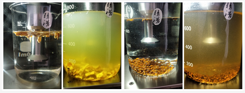 超聲波萃取儀的原理